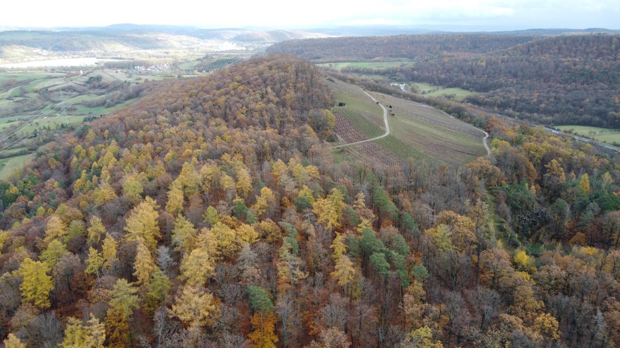 Pausenhof Zweite-Heimat Lägenhet Rauhenebrach Exteriör bild